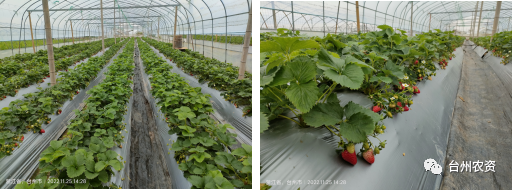 1675647086982415.png 640 (15).png