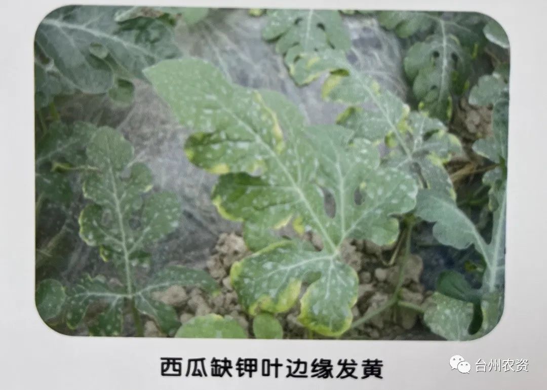 1675666349126151.jpg 640 (46).jpg